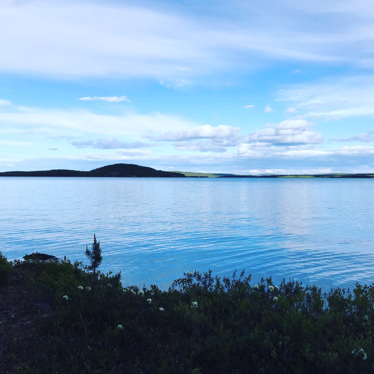 Ihmisen on hyvä olla välillä aivan rauhassa. #aanar