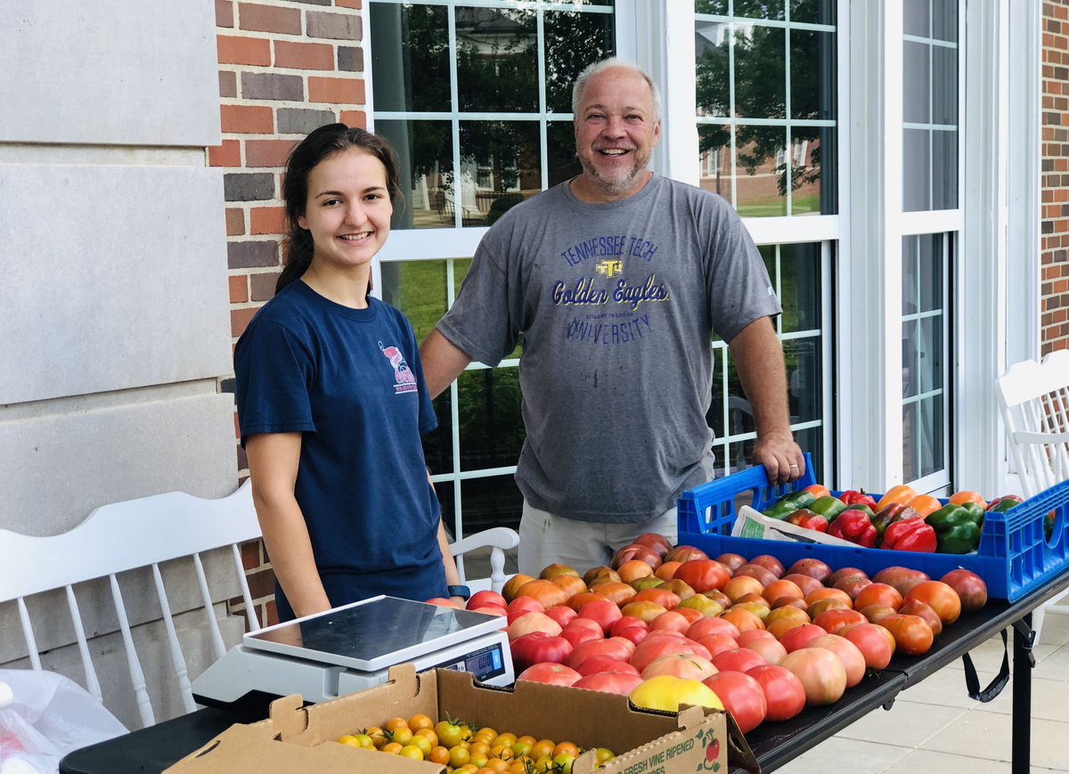tennesseetech's tweet photo. Tomatoes and peppers grown at Tech Farms taste like summertime! 🍅 Catch them Thursdays in front of Oakley Hall or on the weekends at the Cookeville and Chattanooga Farmer's Markets. #WeAreTNTech #TechisTN https://t.co/N0ApsslkJQ