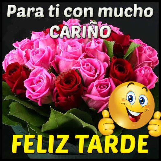 Tengan una #FelizTarde camaradas @morales5803 @nirodellman @DeTrovadores @IsaGlezCmg  @hyrumfive @Errios @lilidiaz8 @MorenoBrito @rocarbl @TAURO_60 @traigolomio @Flor65j @infoapu18 @chelo_112 @Heryrevi @gramongcandanga @zulysarmiiento @juanm_manresa @GuedesNaudy @Guajiritasoy