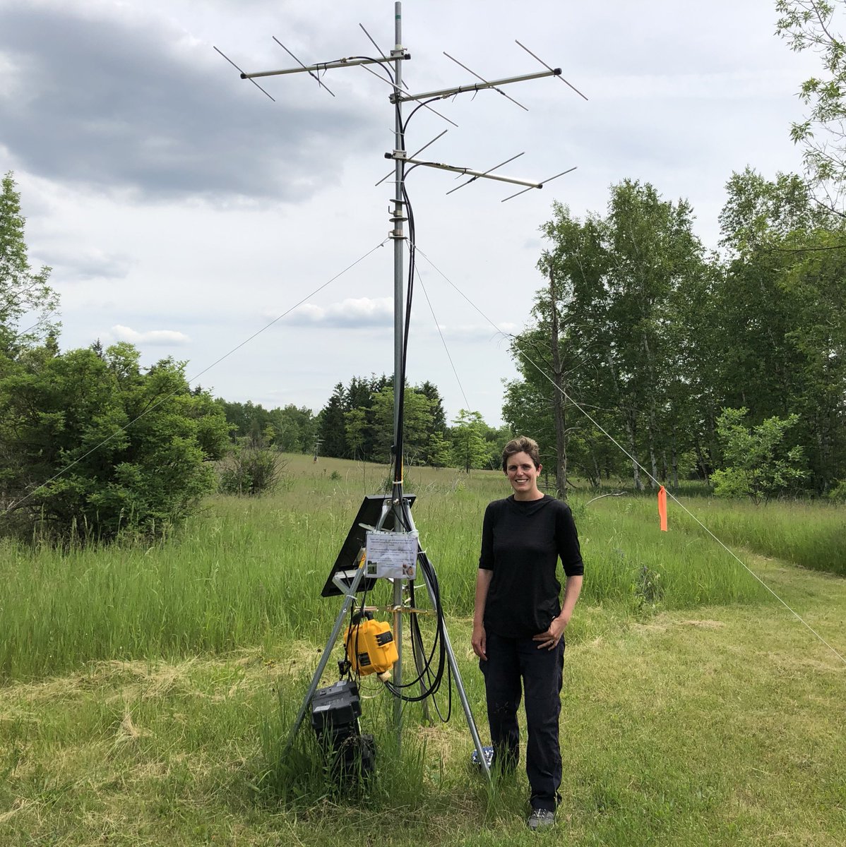 NigelERaine's tweet photo. @DrLizFranklin1 @uofg @UofG_SES @1in3mouthfuls @CornwallCollege Thanks @DrLizFranklin, it’s 🐝n a privilege. What an impact you've made on all fronts: ecology, behaviour, microsats, barcoding, engineering, mentoring, outreach..perhaps most impressive getting the #BEEDAR radiotracking array fully operational! Good luck &amp; we hope it’s au revoir https://t.co/esQIwTRBeN