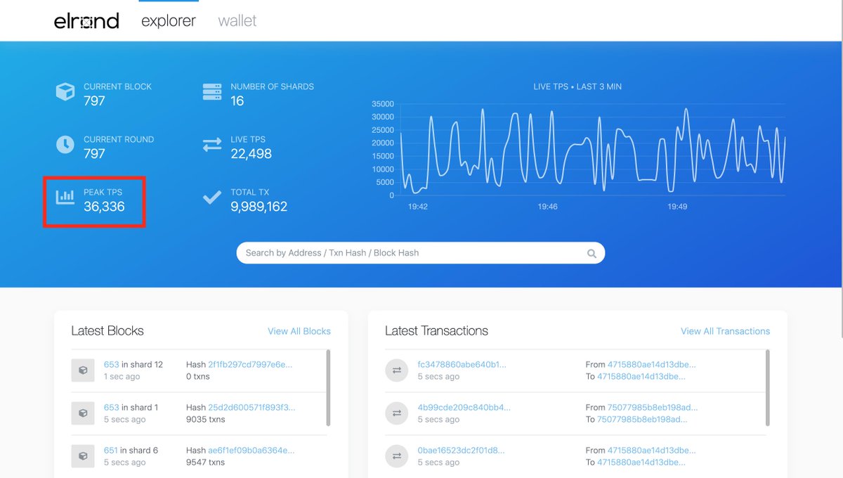 elrond testnet