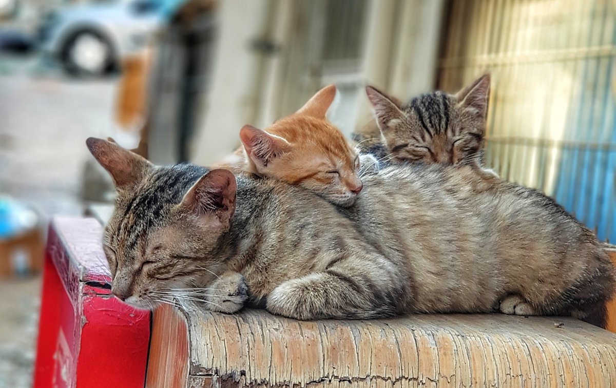 grscsemih's tweet photo. Belkide dünyanın dönme sebebi... https://t.co/XvSHwiTwpG