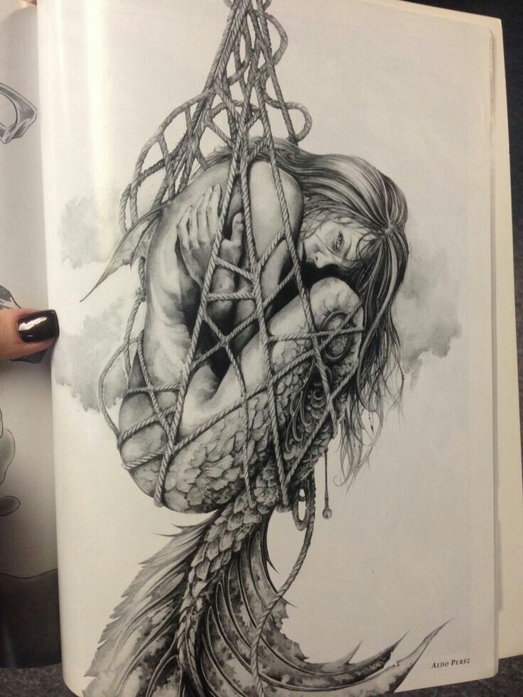 _Fox99's tweet photo. Quería probar mi técnica.
Qué tal me quedo?  #sirena #Redraw #drawthisinyourstyle #drawings #dibujoatinta #dibujo https://t.co/iYG4MPy4eg