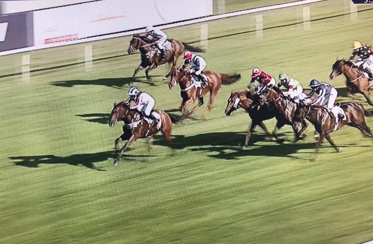 amajox's tweet photo. Congrats #leadinglady @amajox @Sarah_bow1 wins #Fieldsman @LeicesterRaces #2outof2 @AWCarrollracing #topride #topjock 🏆👏🏇👍🥂👌 https://t.co/yV83lQsD7m