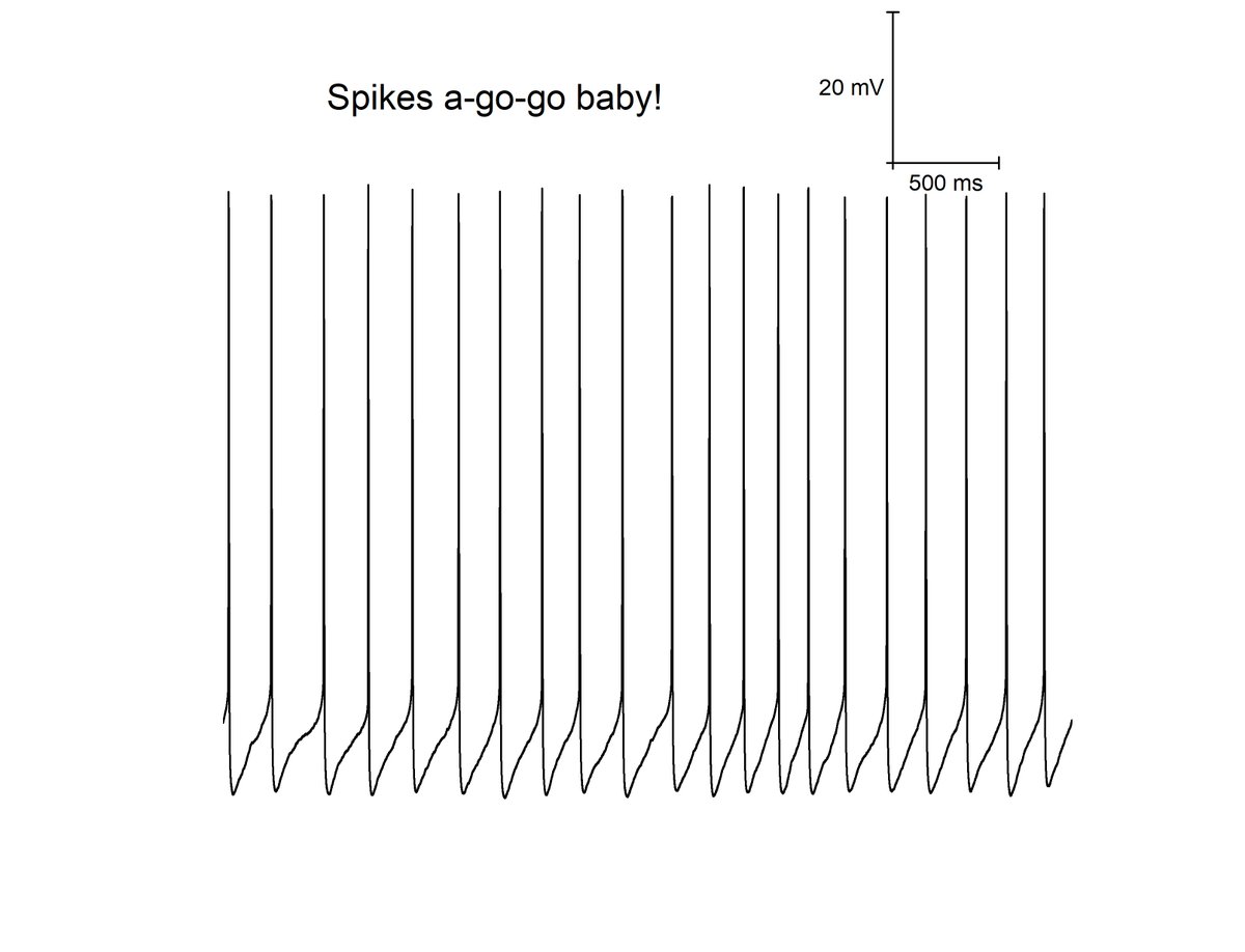 Applied Neurophysiology Group tweet media