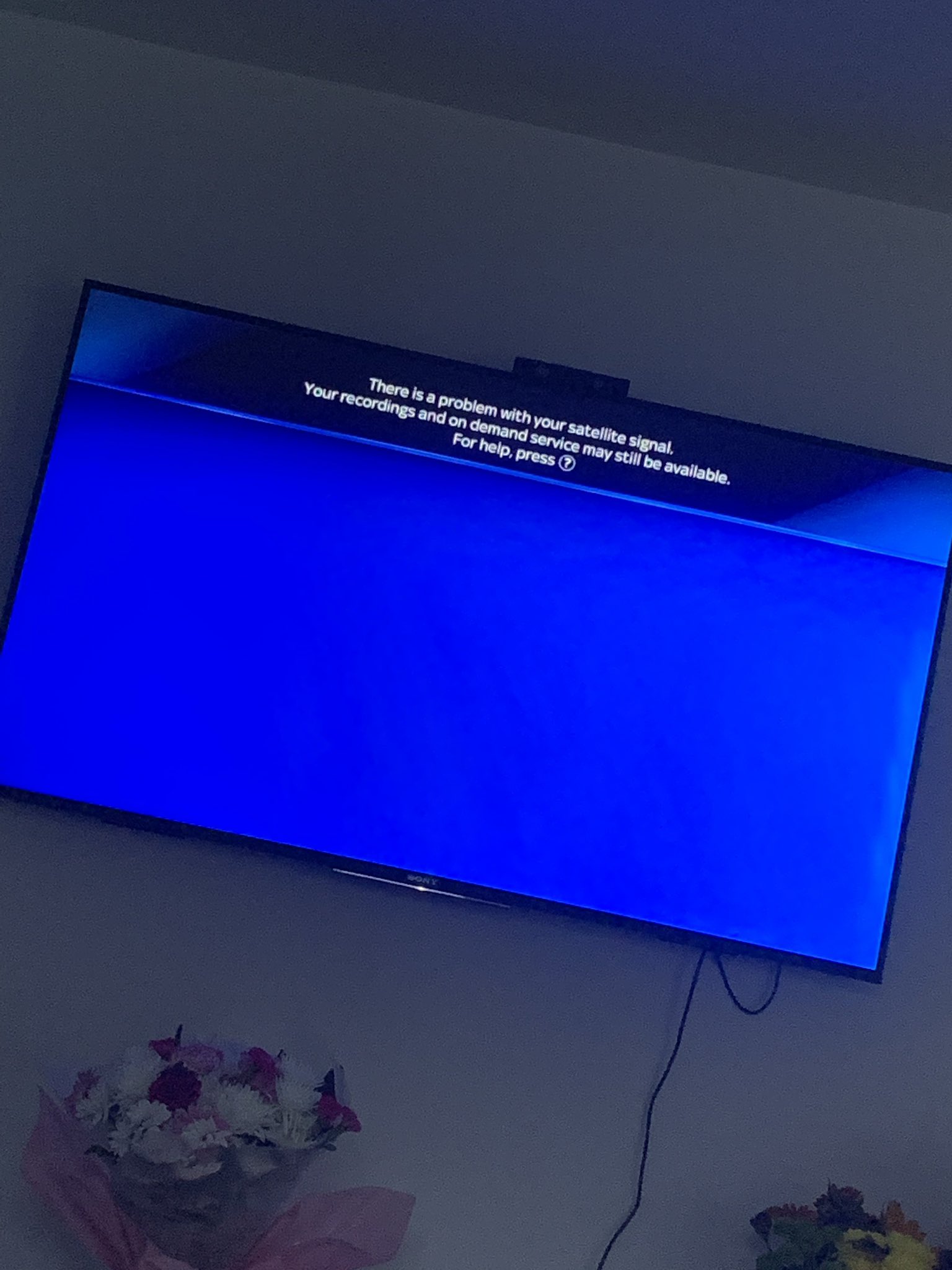 Carly Jane Responds To The Leak: Full Statement - snf3ucx