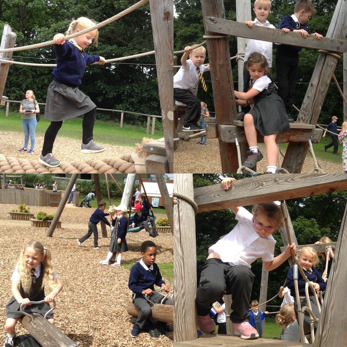 Year 1 tweet media