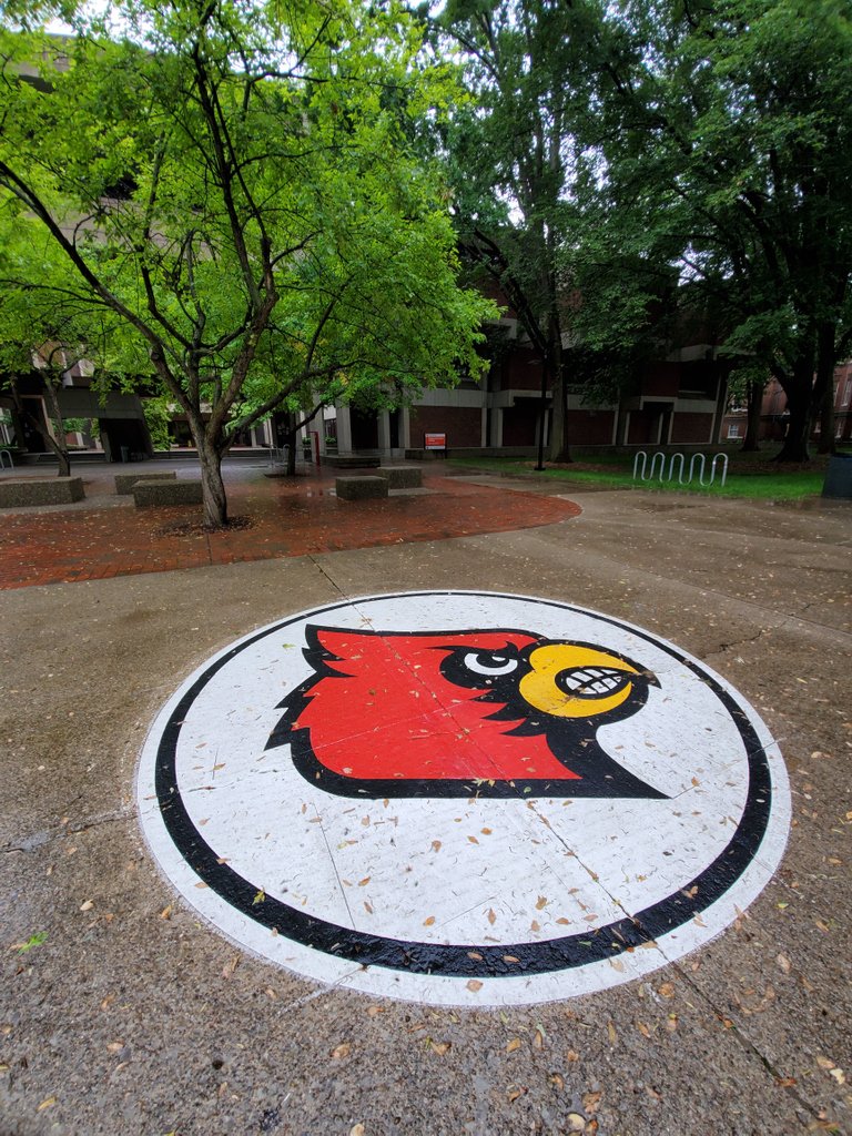 Finding4Corners's tweet photo. Don't step on the Cardinal or you have to kiss it!

#4K4C #explorelife

🎞Follow us on YouTube! 🎞

#fulltimerv #fulltimetravel #fulltimervfamily #rv #rvlife #rvliving #lifeontheroad #traveler #travelphotography #youtubefamily #samsunggalaxy https://t.co/jssKCylnmJ
