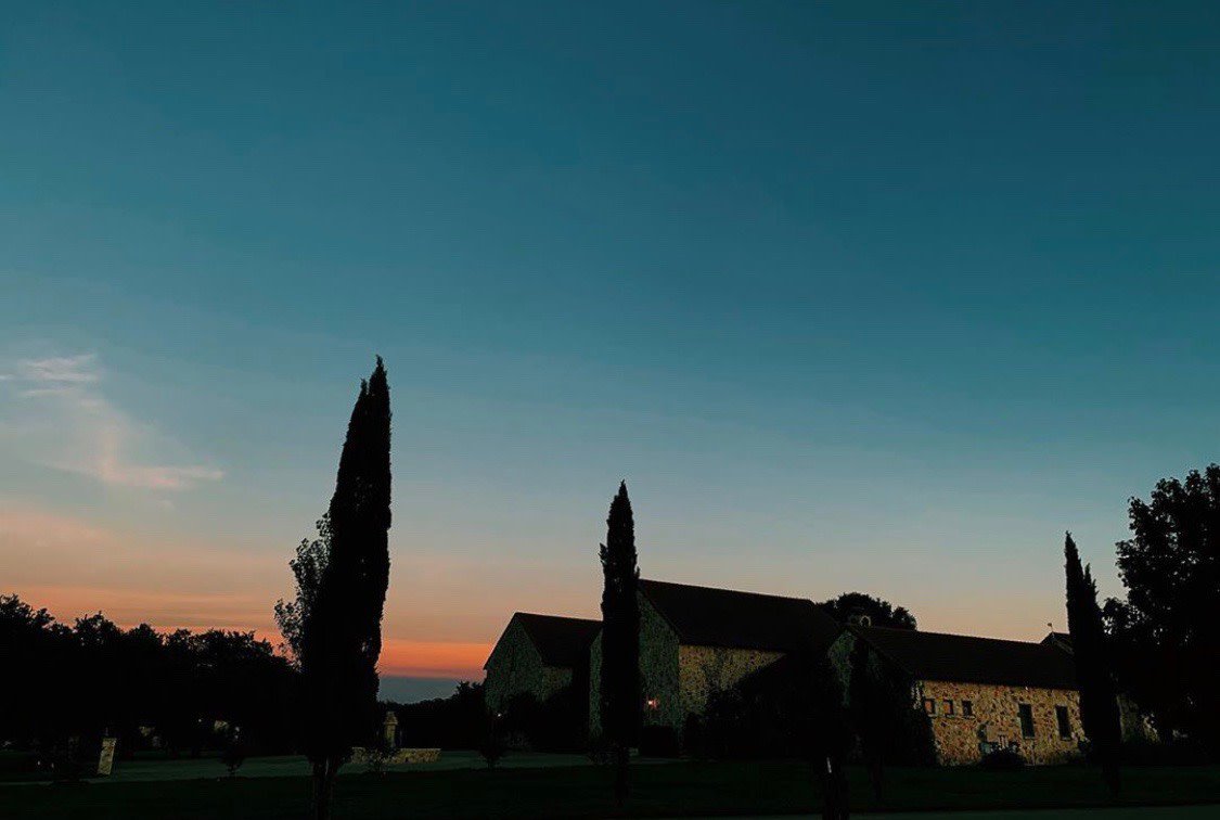Vineyard at Florence tweet media