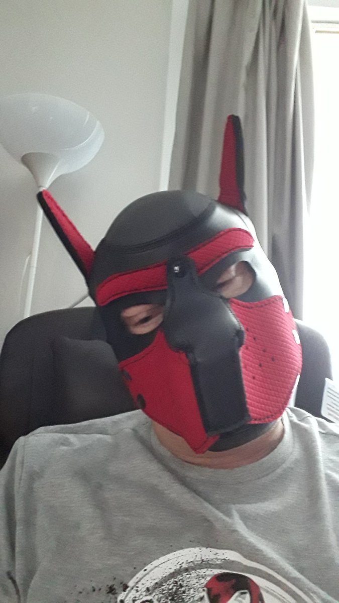 ArcticMenthol's tweet photo. Woof.  So excited about my purchase from @PUPPIFY_Shop https://t.co/6zen0KrfFA