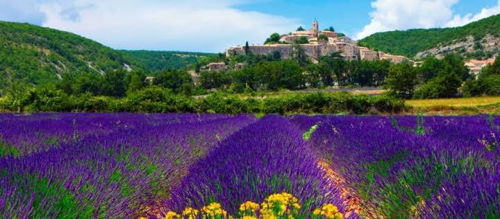 anotherARTdiary's tweet photo. Fransa’nın provence bölgesi. https://t.co/fwk39ItXJU