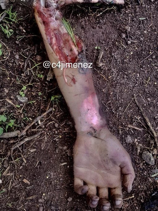 Ver imagen en Twitter