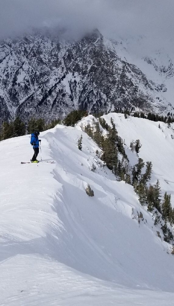 I finally have new content for you!

I published a guest post on my new financial planning firm's blog. It's called: 

You Can Afford It!

Please check it out at Atwood Financial and let me know what you think.

buff.ly/2LnBRTe <a href="/LoriAtwoodsays/">Fearless Finance</a>