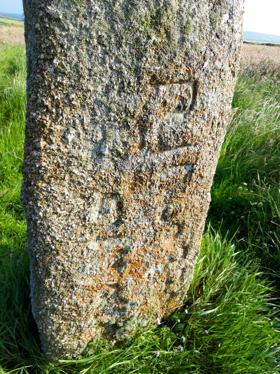 Mên Scryfa.Inscribed stone that reads "Rialobrani Cunovali fili" or "Royal Raven, Son of Cunoval." We've Caer Bran (Crow/Raven Fort) nearby so that may be a link. Its age is uncertain but the inscription is thought to be medieval, the stone prehistoric. #PrehistoryOfPenwith