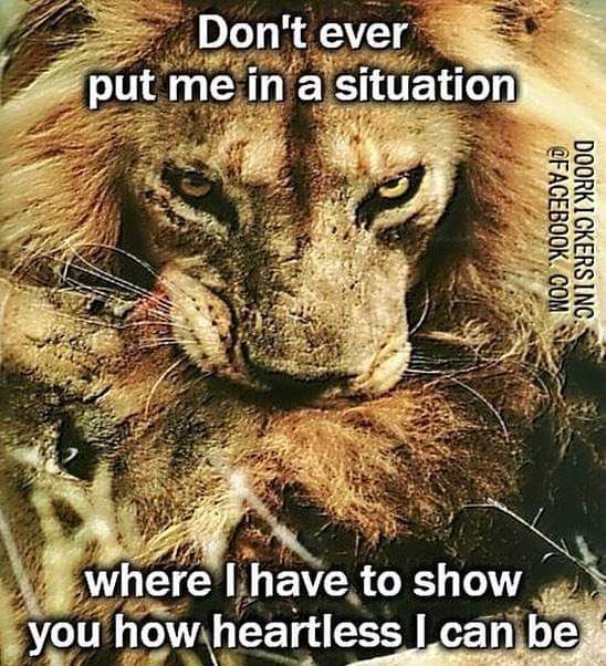 Mike Bruins Goetz tweet media