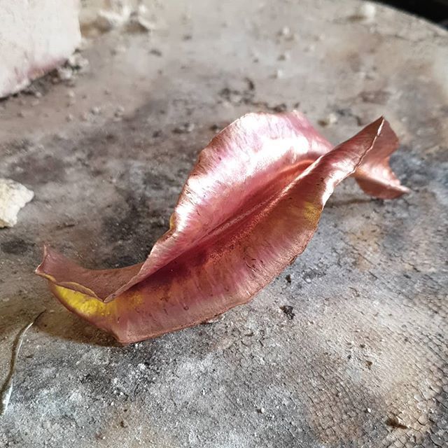GillBridgestock's tweet photo. Oh leaf it out......🍂🌳 #coppersheet #copperbeating #copperartist #copperdesign #copperpatina #copper #leaf #leaf🍃 https://t.co/ABnSZ4p1yv https://t.co/HS65HrAEcs