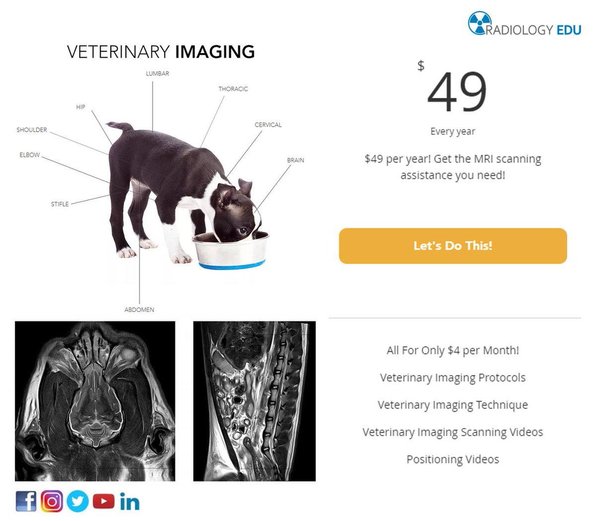 Radiology EDU on Twitter "Veterinary MRI positioning and technique are