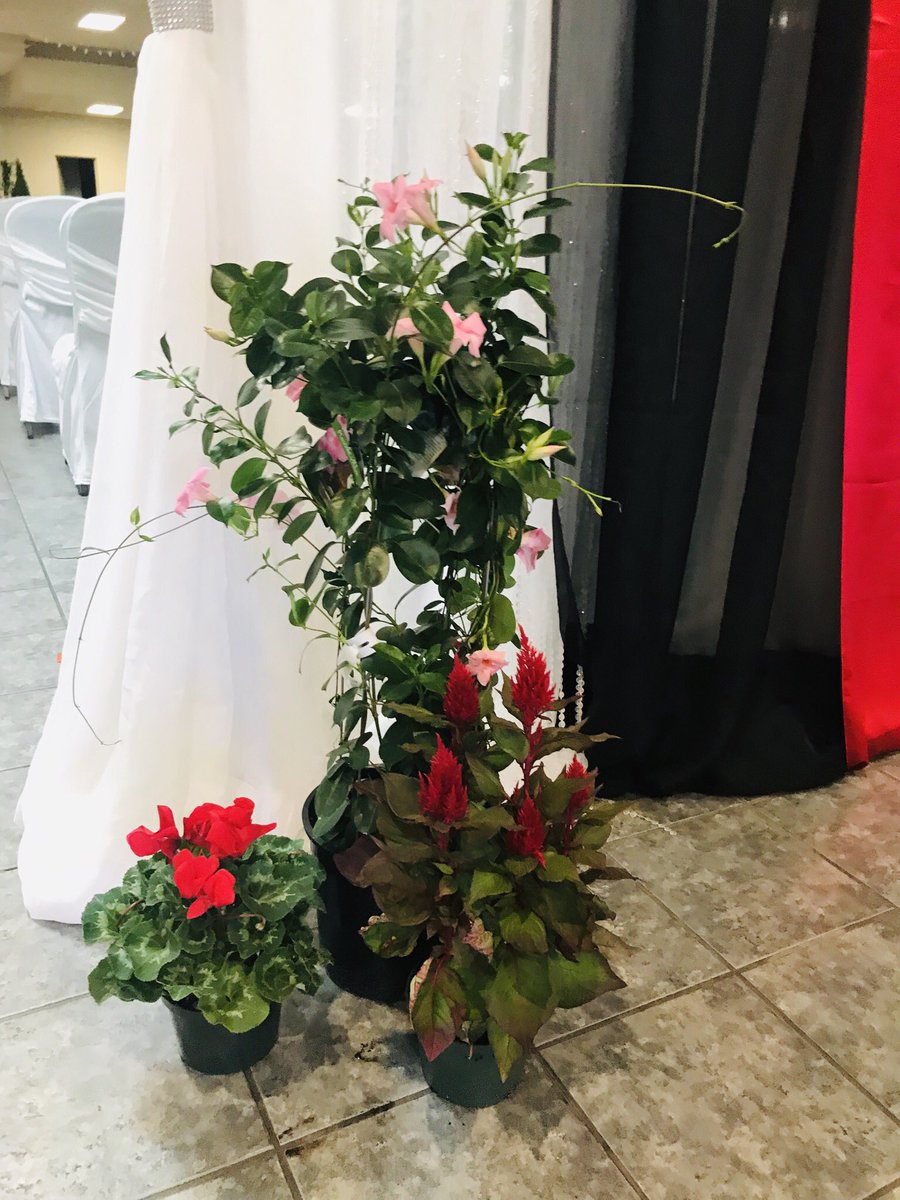 LockesPVA's tweet photo. almost time @Lockes22 Grade 8 Grads!! #LockesPride #GraduatingClass2019 #LockesGrads @PeterPilitsis @BeaumontTVDSB @wglover23 https://t.co/O0QoVZHjZ7