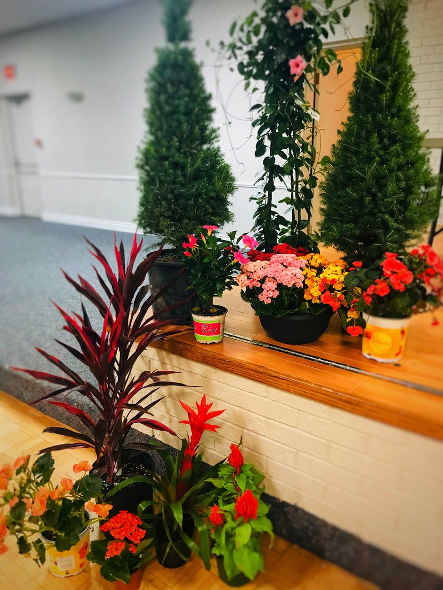 LockesPVA's tweet photo. almost time @Lockes22 Grade 8 Grads!! #LockesPride #GraduatingClass2019 #LockesGrads @PeterPilitsis @BeaumontTVDSB @wglover23 https://t.co/O0QoVZHjZ7