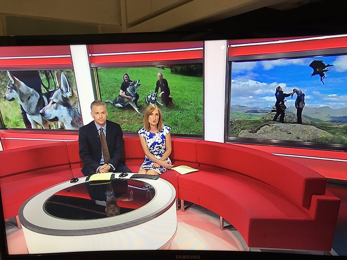 LakesPR's tweet photo. Great piece on @PredatorExp planning win on @BBCNWT tonight. Thanks @IanHaslam78 👍#LakeDistrict #walkingwithwolves https://t.co/83PiYt4eyT