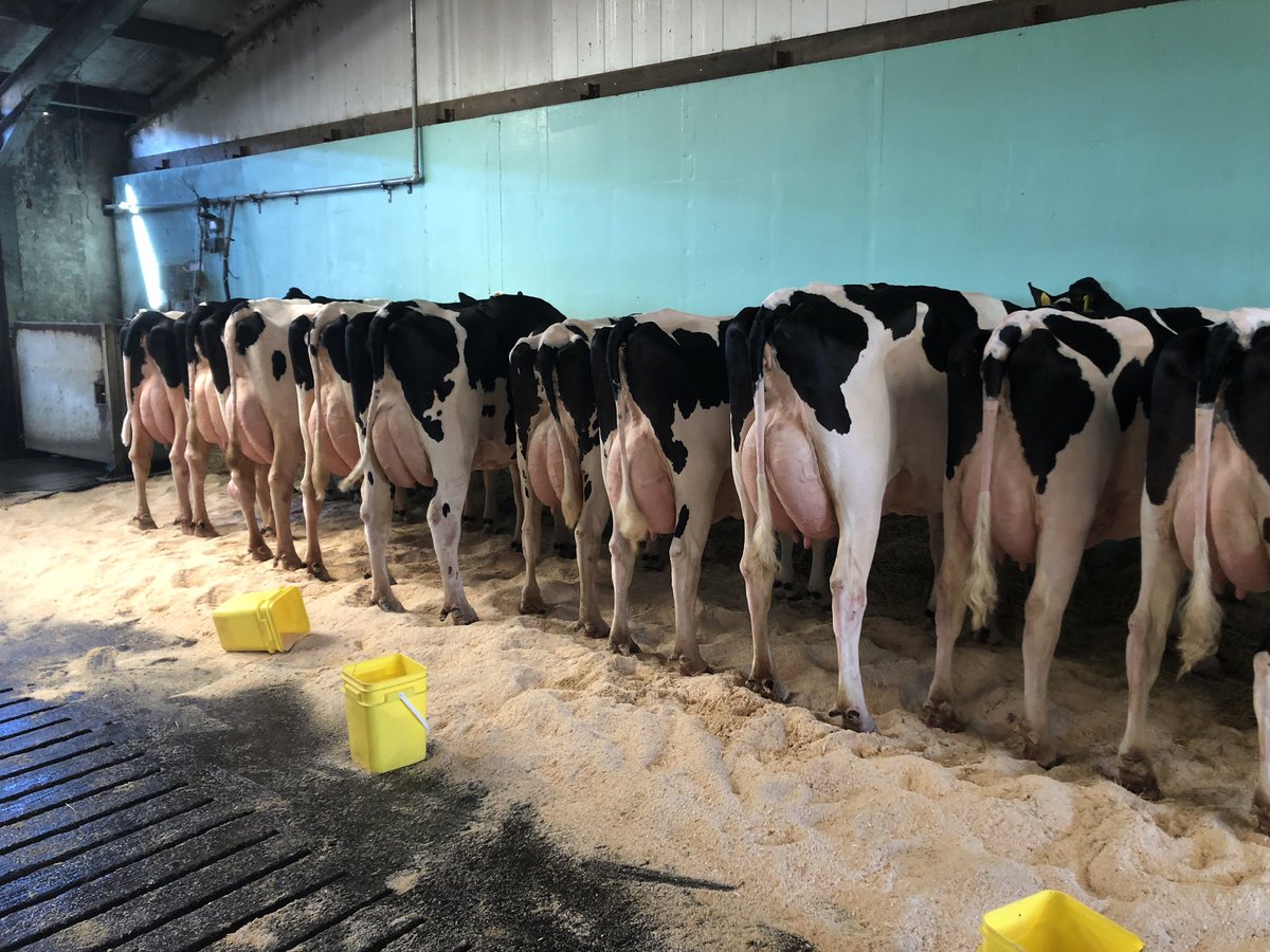 Ready for judging earlier today