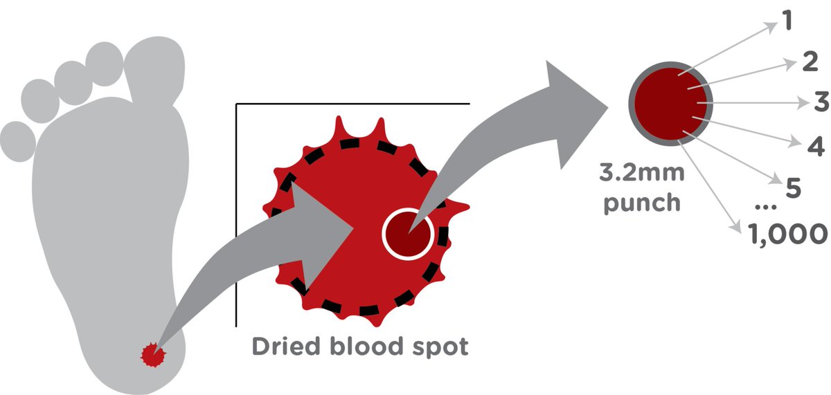 baebiesinc's tweet image. #DigitalMicrofluidics fluorometry (DMF) technology is uniquely positioned to address the issue of punch conservation in #NewbornScreening. Baebies’ DMF is protected by over 100 patents and utilized by SEEKER. Learn more:
hubs.ly/H0jtVvY0 as published in @APHL Lab Matters