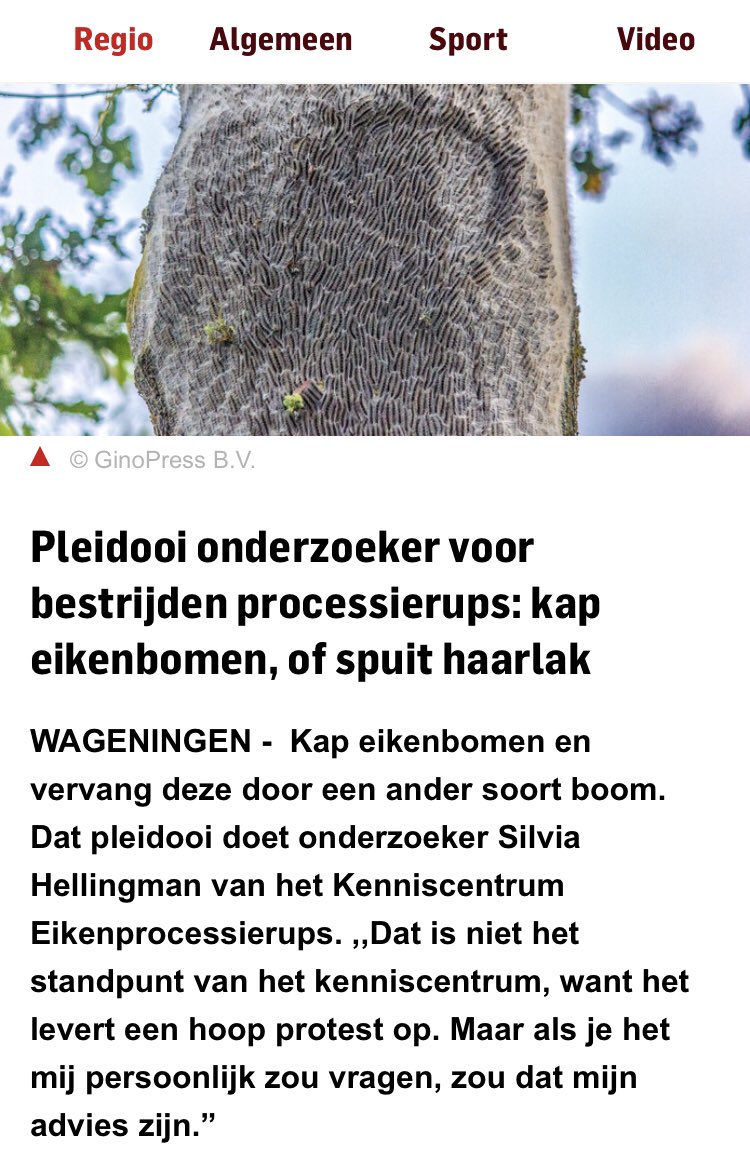 Ik ben de draad kwijt. 
Stikstofuitstoot bedreigt de eik. Die beschermen we dus met maatregelen, terecht. 
Maar juist bladeren van eiken die weinig stikstof krijgen zijn aantrekkelijk voor de Processierups. En om de rups in die eiken te bestrijden willen ze die eiken kappen. 🤔
