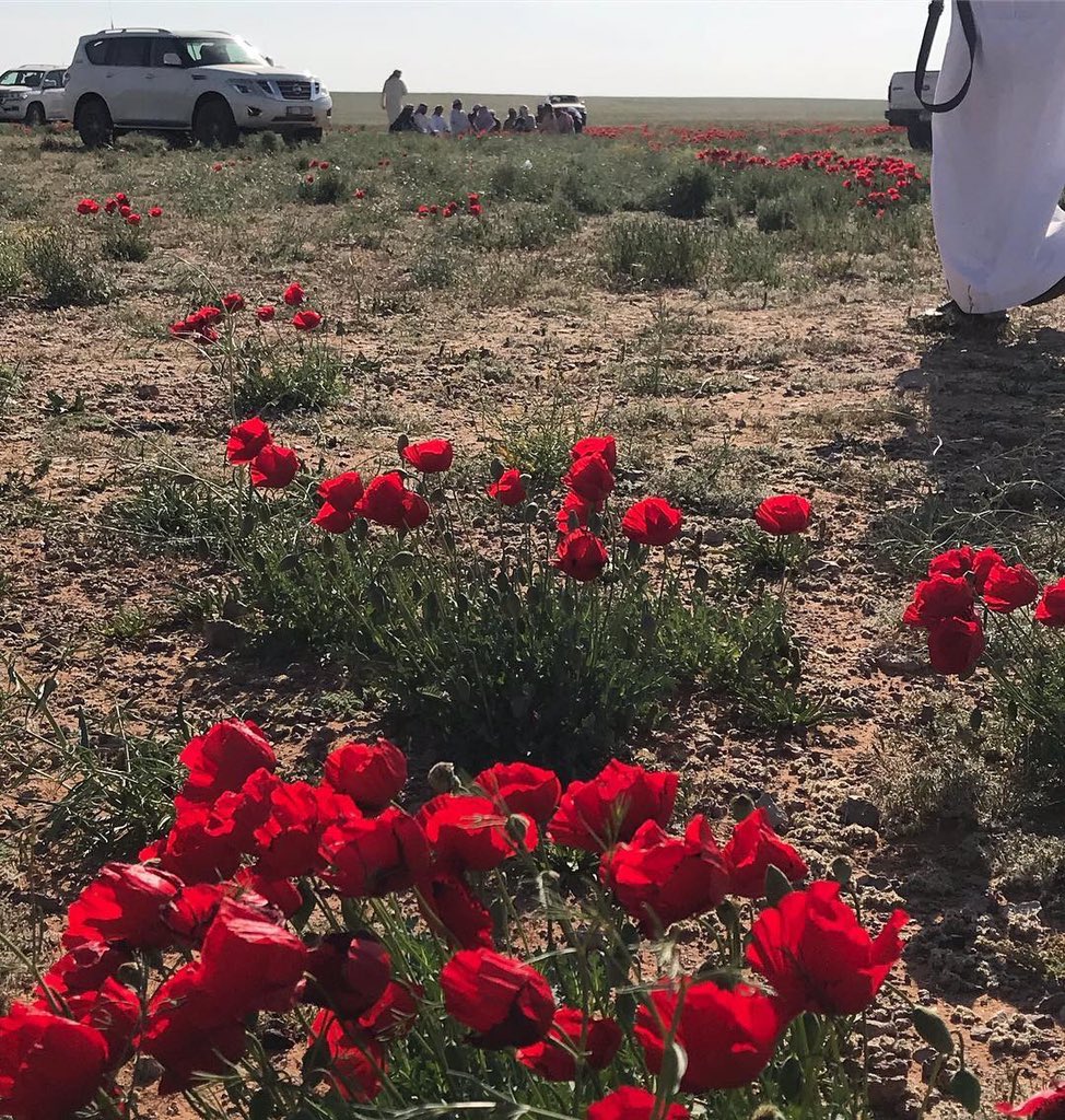 فديت عيونك (@85sult) on Twitter photo 