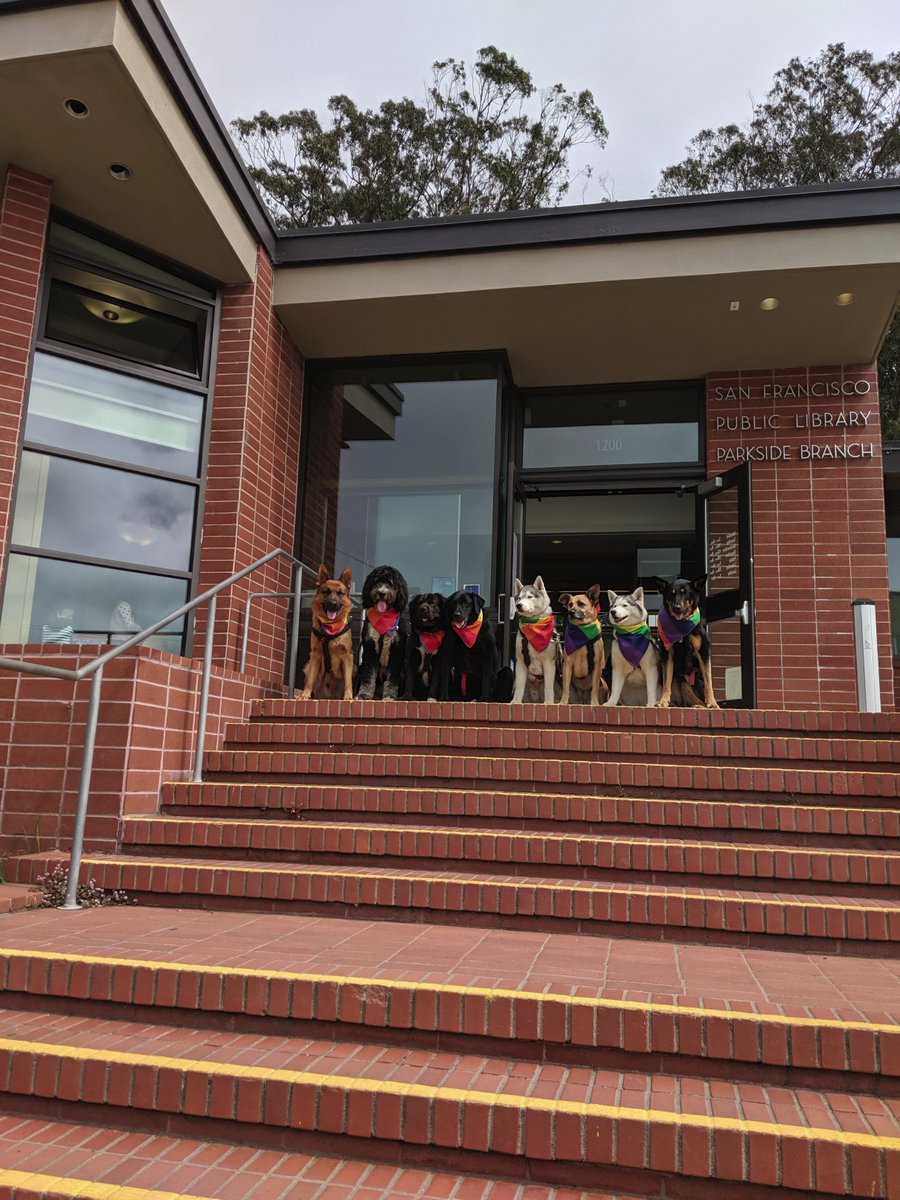 SFPublicLibrary's tweet image. When a dog trainer comes to visit our Parkside Branch with 8 surprise friends! Would you say this is a classic school picture day pose?