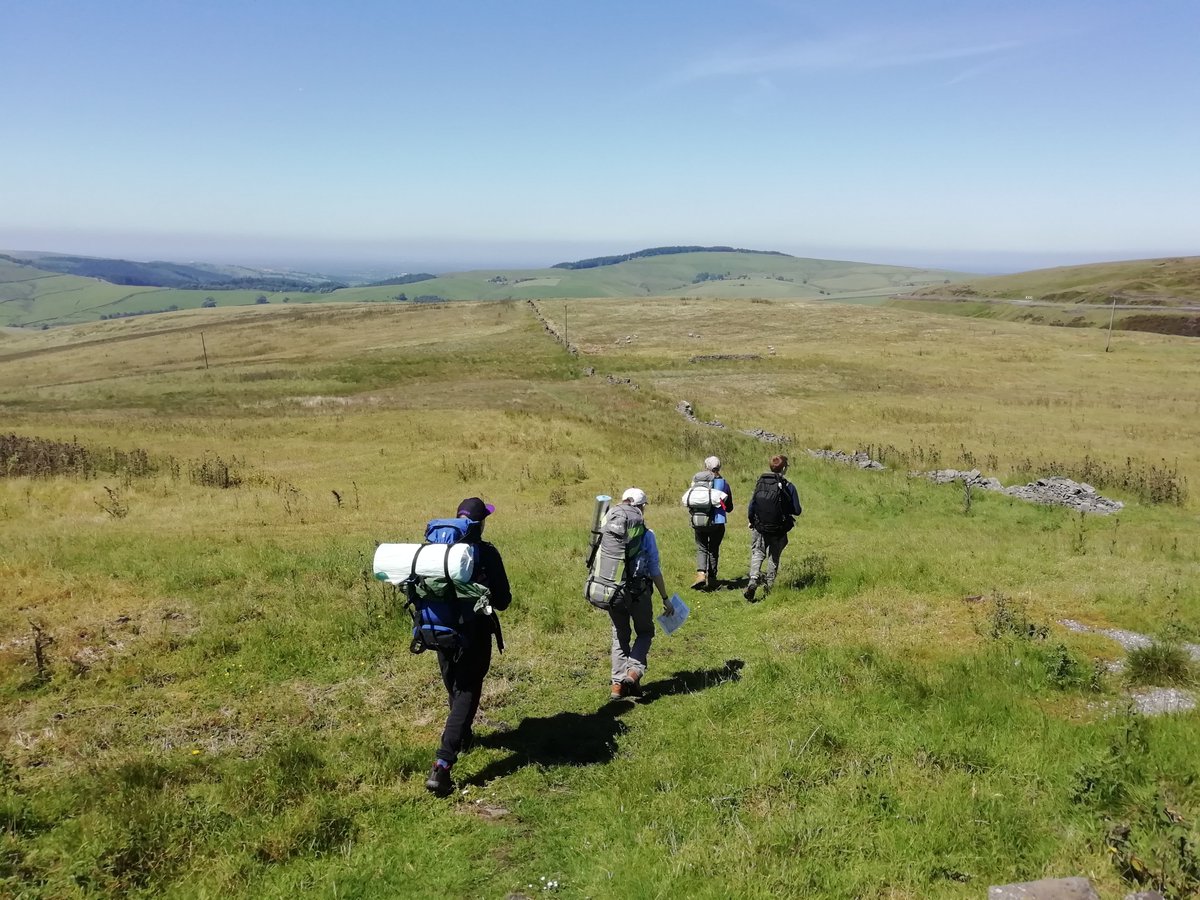 STMCAdofe tweet media