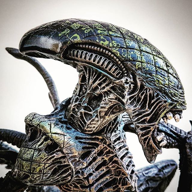 AlienCollectors's tweet photo. #12inch #GridAlien seen in #blockbuster Alien vs. Predator 2004 and made by #McFarlane_Toys_Official released in #2006
Join us on Facebook - #AlienCollectors - The largest Alien Collector Group on #Facebook with over 12 500 collectors
#PhotoOfTheDay #… https://t.co/CfF5gR6Su5 https://t.co/jPxoFPNq7J