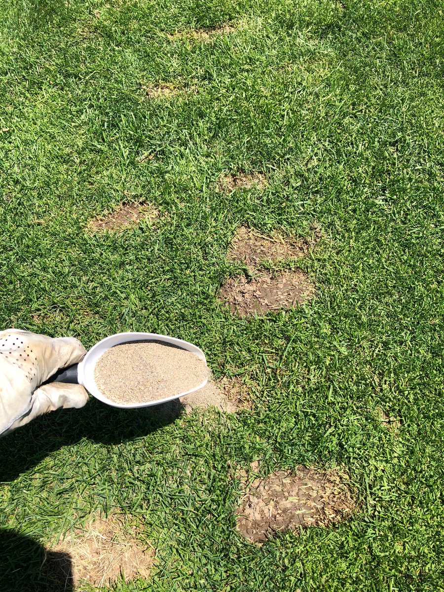 coach2727's tweet photo. When at @BrickyardTurf has u so trained u find yourself filling everyone’s divots on other courses while playing #divotmaster #shovelpower https://t.co/JpRzDIFL7Q