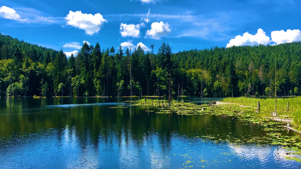 Stasher_BC's tweet photo. Sunny day yesterday with a relaxing hike up to and around Crofton Lake #cowichan #explorwcowichan
https://t.co/NBnFUQTTJe
#explorebeyondtheusual https://t.co/hXOJlVcf5R