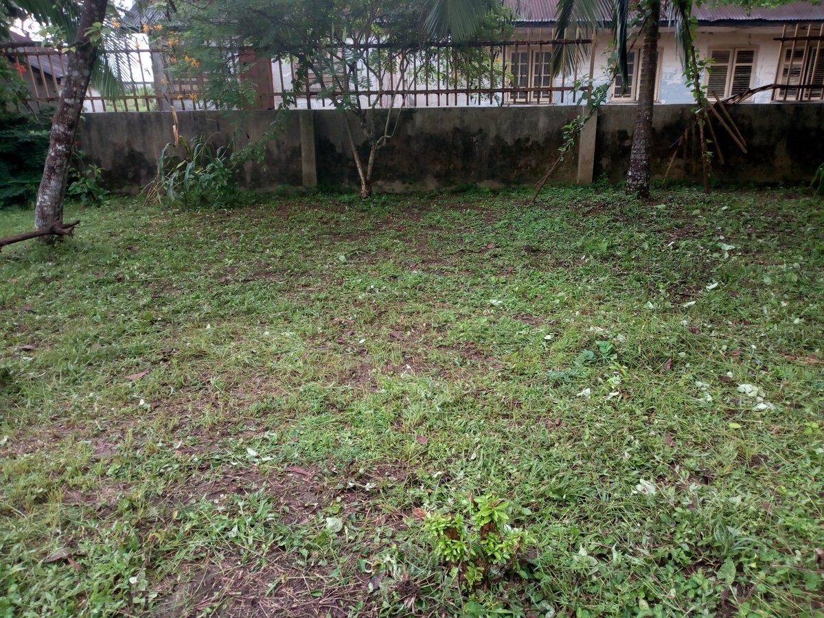 Omachi_cc's tweet photo. My #NYSC journey
My team (SDGs CDS) and I visited the public library in our village (Bori, Khana LGA, Rivers State) and helped to cut down the grasses to make the learning environment more conducive.
#NYSC #rivers_state #sdg4 #Buhari
#SDGs #cds #library #environment https://t.co/g3LE8YmVp1