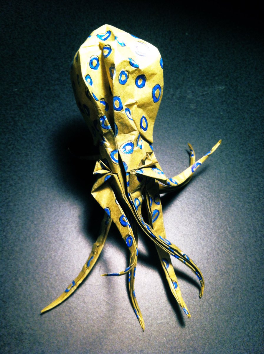 KitSchwinn's tweet photo. @scifri Thanks. Probably going to use this design to refold my old blue-ringed octopus paper. Ironing the paper flat now. May have a brand-new octopus in a few hours… https://t.co/LswsyfkQMT