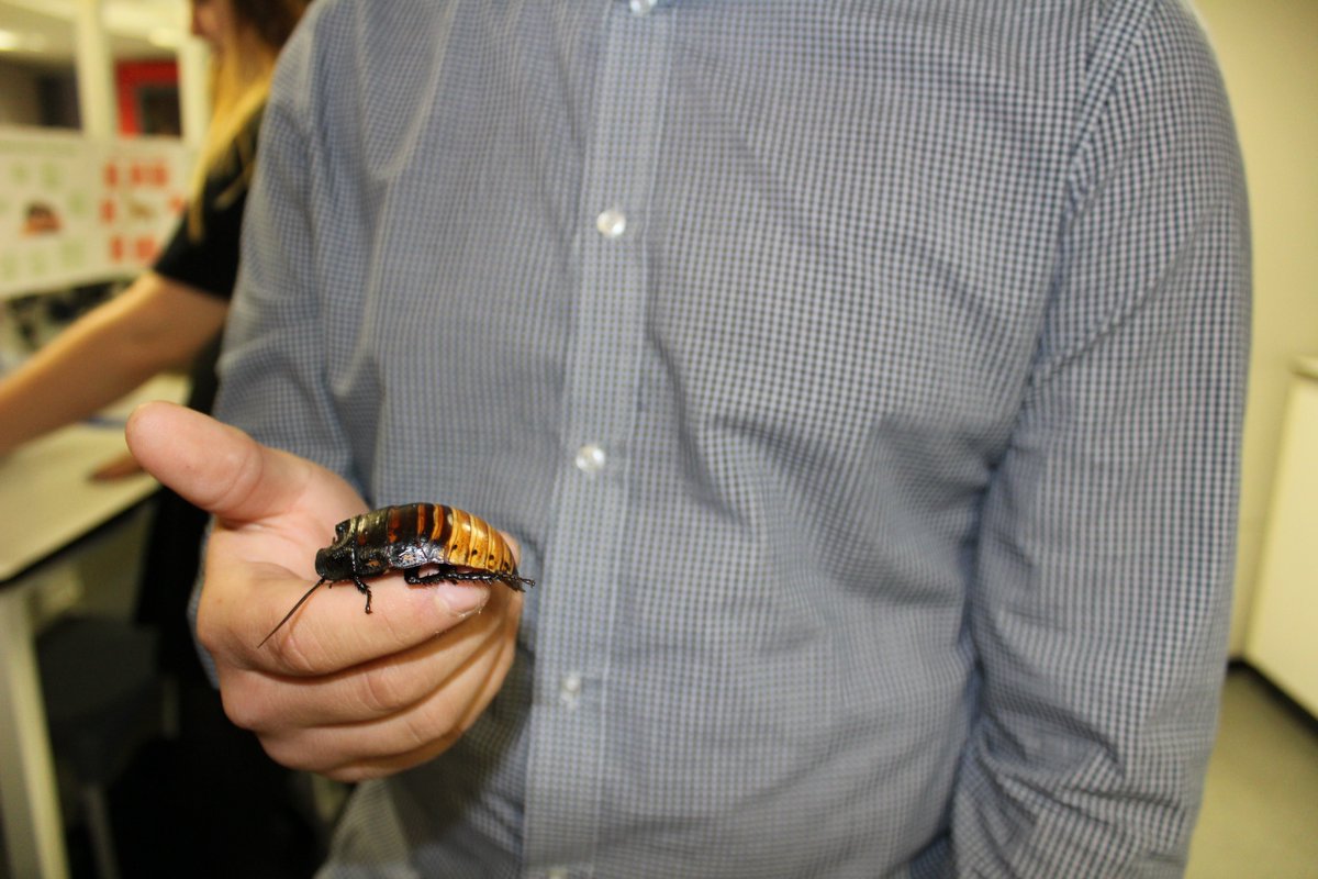 Baltic_Research's tweet photo. Our dedicated Model Organisms Department delivered a successful demonstration on animal care and management at the showcase!
@UTCInnovate @LifeSciencesUTC https://t.co/yD0nLAu2rW