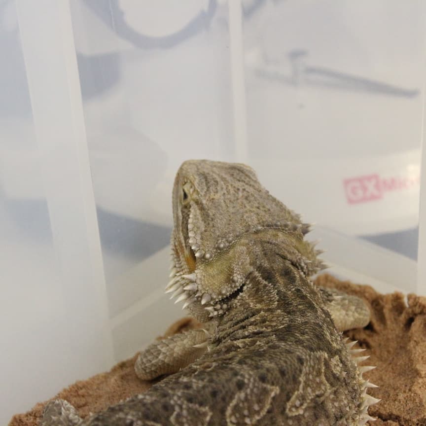 Baltic_Research's tweet photo. Our dedicated Model Organisms Department delivered a successful demonstration on animal care and management at the showcase!
@UTCInnovate @LifeSciencesUTC https://t.co/yD0nLAu2rW