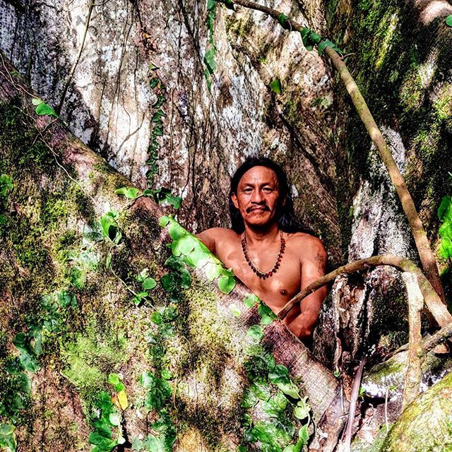 Lunaperalta's tweet photo. #Yasuní Comunidad #Bameno #Huaorani
https://t.co/OFSsd3ha7J
#anaperalta #videomaker #travelphotographer #Amazoníaecuatoriana #Ecuador🇪🇨 #igers #travelaround #instatravel #instagramers #bbctravel #womanexplorer https://t.co/OCylv0gIL2 https://t.co/wMDjV3Bw6J
