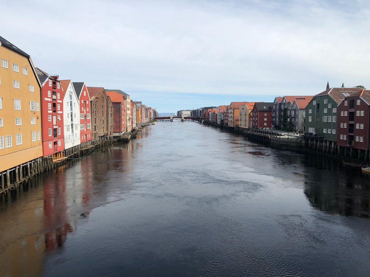 Sharon Flanigan tweet media