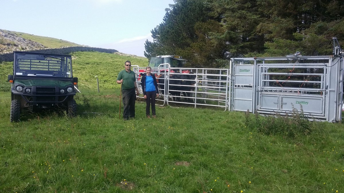 Prysor Williams tweet media