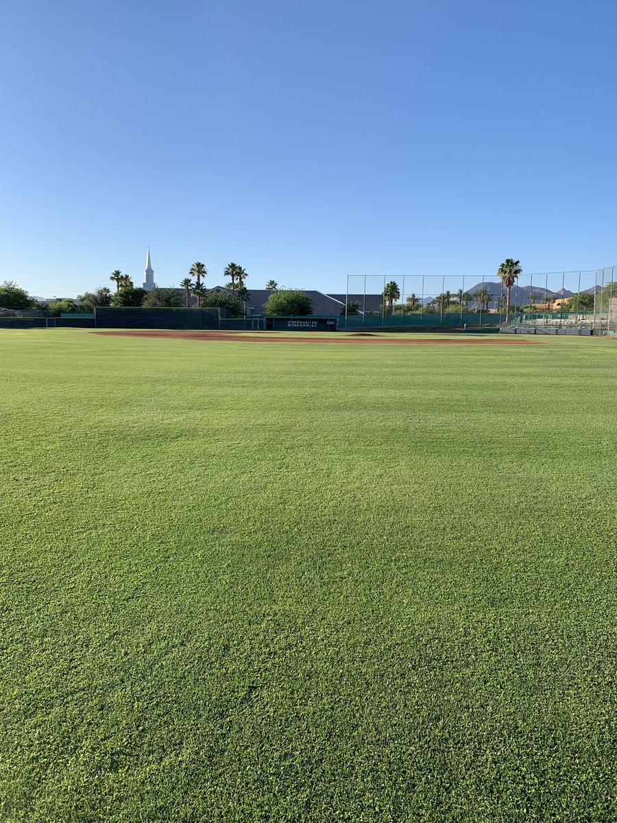 TurfGv's tweet photo. A little before the mow and after this morning. Las Vegas weather has been totally awesome and our @TheToroCompany 3100D has our field looking the best it ever has during the summer! #sportsturf https://t.co/Xhofr5AWVa