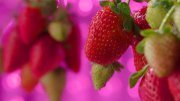 newsbeatlive's tweet photo. Automated Containers Make Organic Urban Farming Feasible #newsbeatlive https://t.co/I9vt3lIvPm