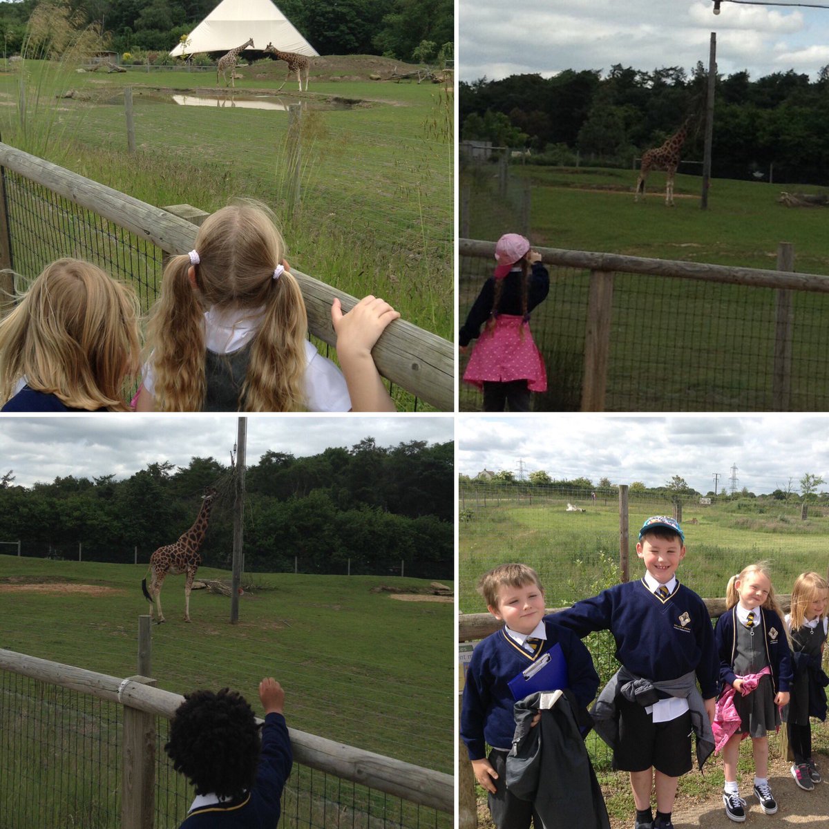 Year 1 tweet media