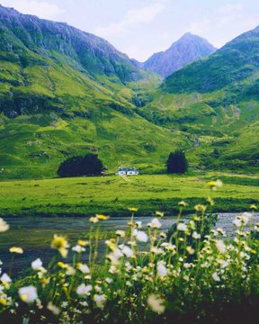 ���� ���� ������ �� ���� ������