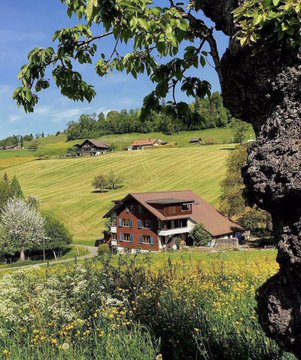 ���� ���� ������ �� ���� ������