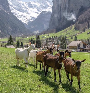 ���� ���� ������ �� ���� ������