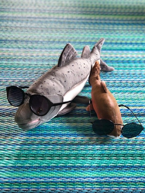 Happy #NationalSunglassesDay! Flavio and Tim are celebrating with their sweet shades 😎

#ghsalmonfest #visitgrandhaven #sunglasses