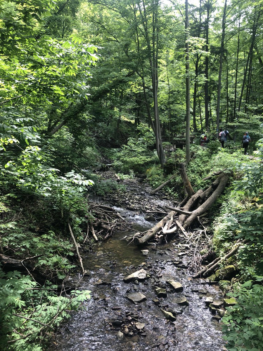 Homes_First's tweet photo. Who said we can’t chase waterfalls? Thank you to Street to Trail and our amazing hikers for beating the heat to see some awesome sights! #everyoneneedsahome https://t.co/gQM9kbx7tz