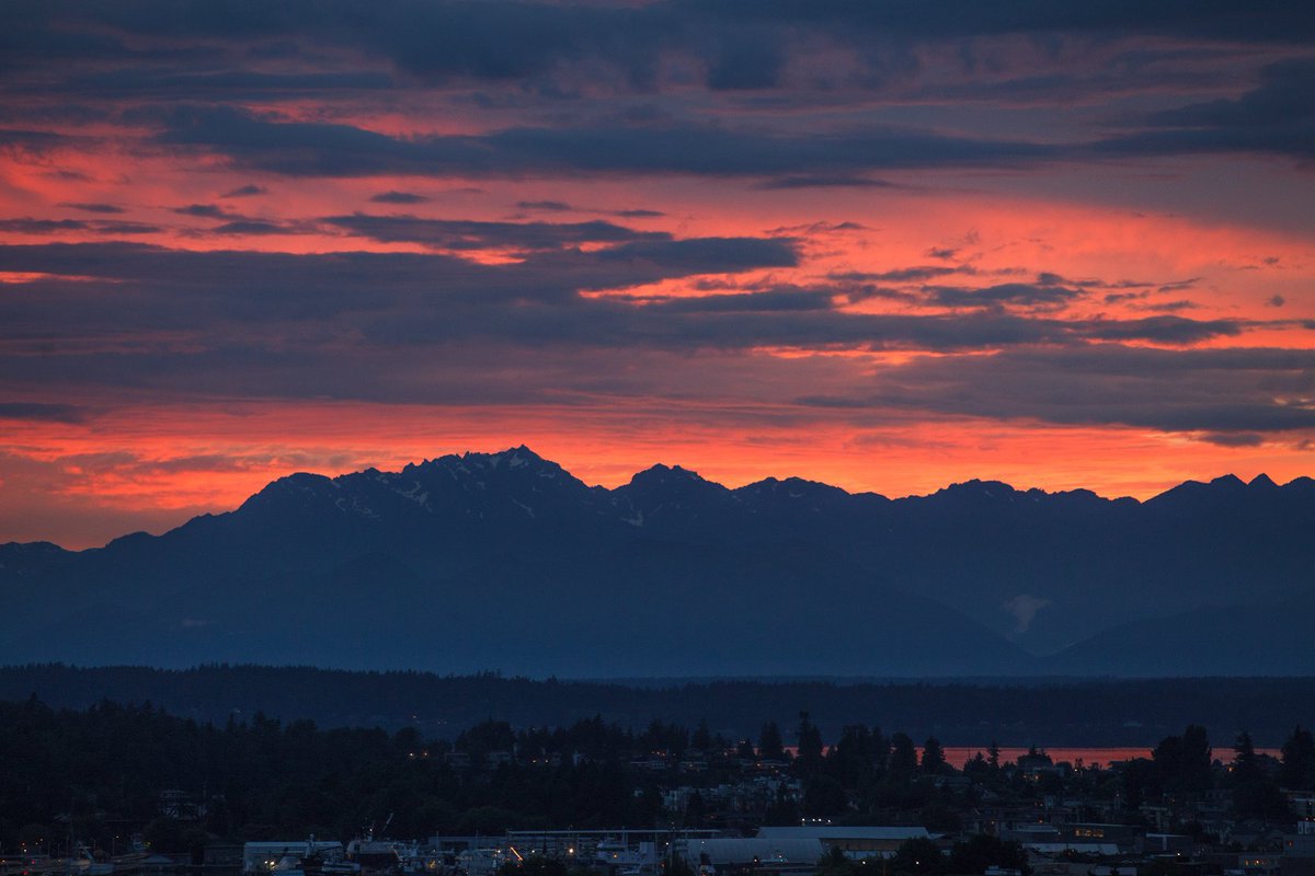 Apodments's tweet photo. Hoping to get views like these this summer? . . . We can help with that 😎

#LiveSeattle #aPodments #MicroHousing https://t.co/JnK7Eimfcs