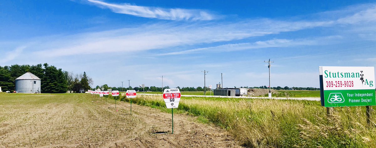 Mathias_Hoff's tweet photo. Signed two of our @PioneerSeeds #QROME plots today - can’t wait to see what this corn revolution can do! https://t.co/jsVAA8XhbP